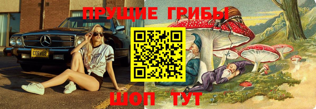 Галлюциногенные грибы мухоморы  Вход с VPN  Гурьевск  Галлюциногенные грибы Cubensis 