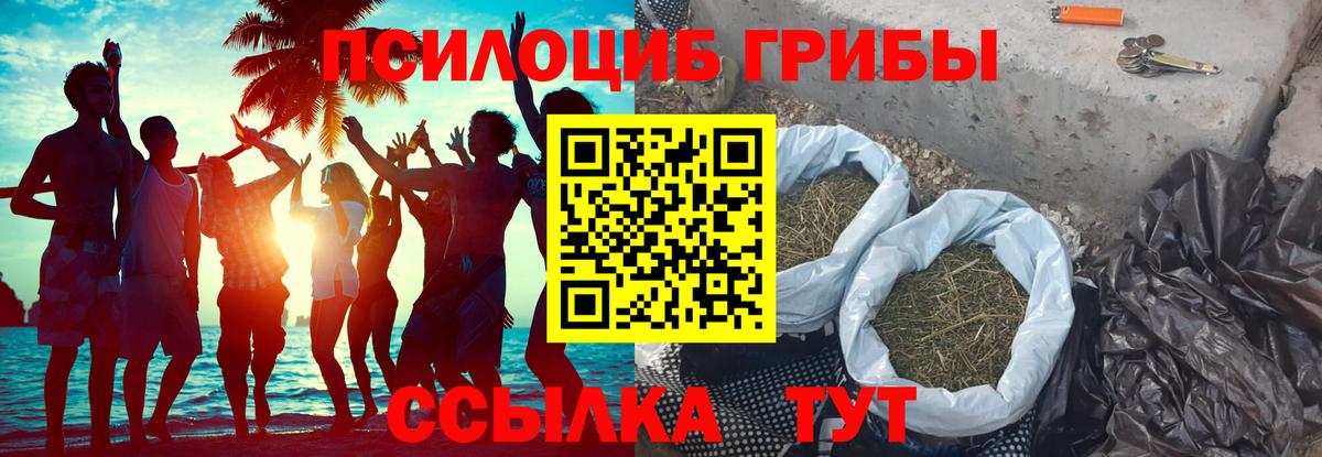 Галлюциногенные грибы мицелий Гурьевск
